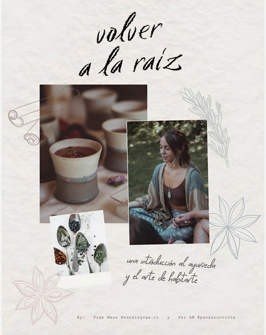 Introducción al Ayurveda (Ebook)