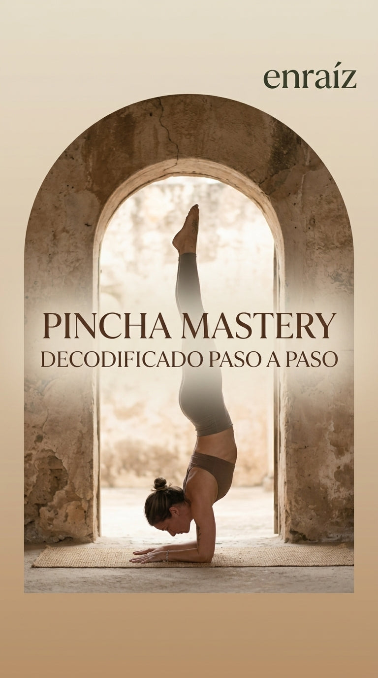 Pincha Mastery: Paso a Paso Decodificado