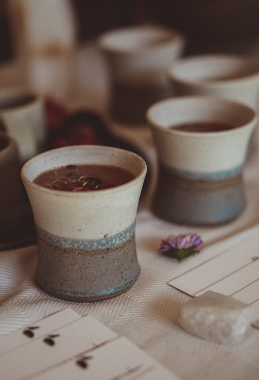 Terapia Ayurveda - Renacer