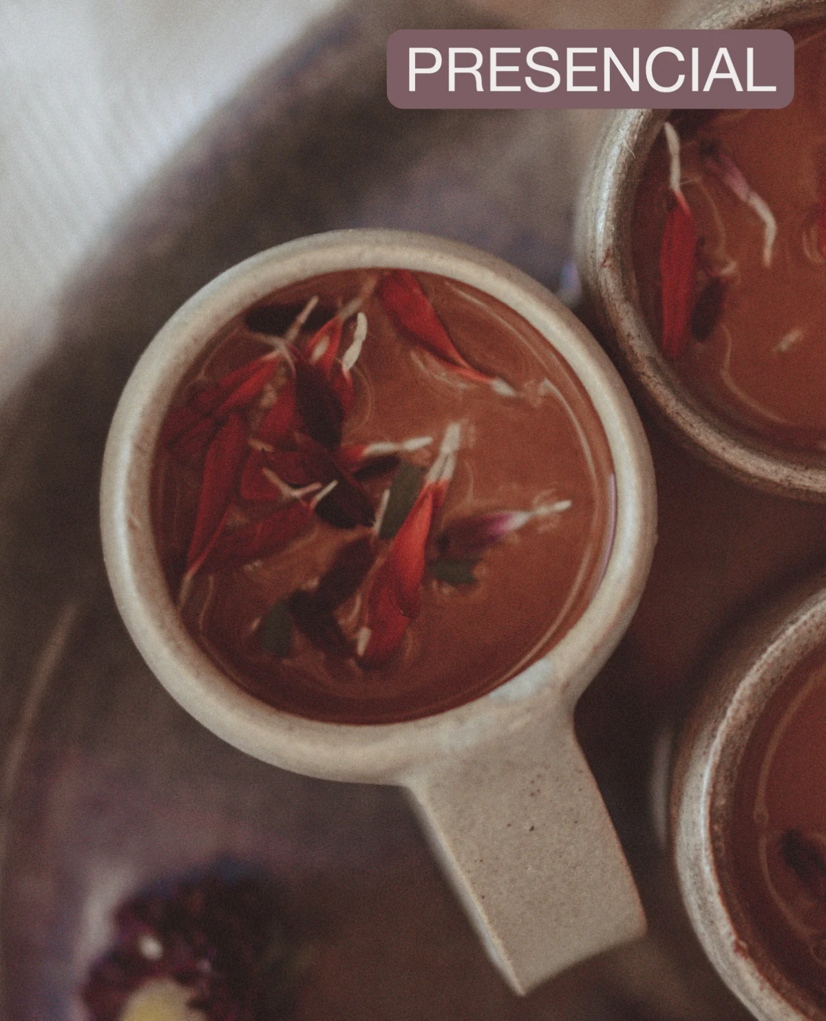 Ceremonia de Cacao & Taller Ayurveda (1 de abril 2023)